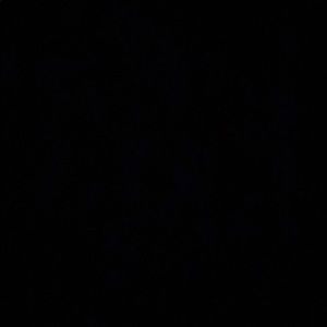 Meet your Posher, Ivy